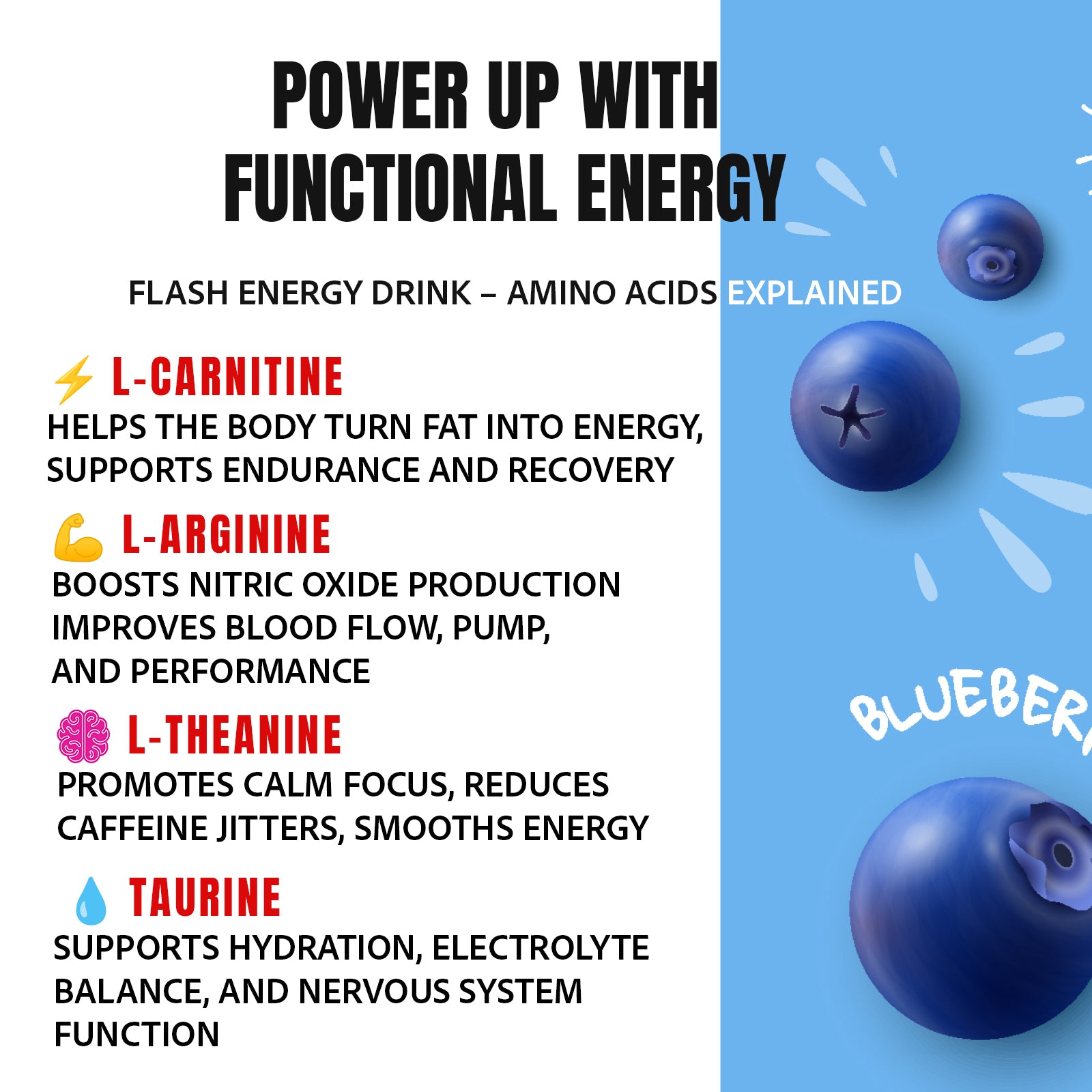 Blueberry Coconut - 12 Pack